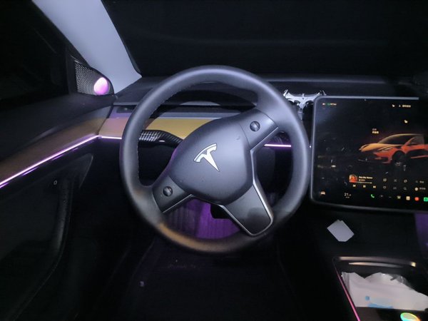 Tesla Model 3 2022, 49300 км, за 22905 USD - фото 16