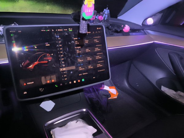 Tesla Model 3 2022, 49300 км, за 22905 USD - фото 10