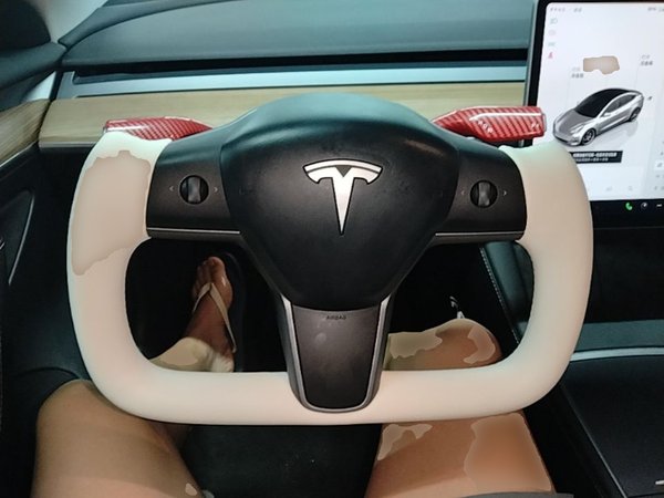 Tesla Model 3 2022, 17900 км, за 31216 USD - фото 14