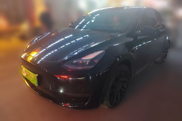 Tesla Model Y · 2023 год