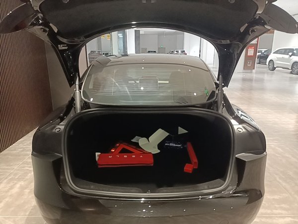 Tesla Model 3 2025, 4000 км, за 34608 USD - фото 27