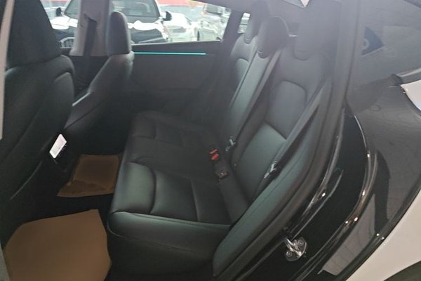 Tesla Model 3 2025, 27100 км, за 30021 USD - фото 10