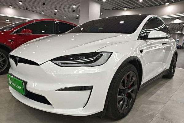 Tesla Model X · 2023 год