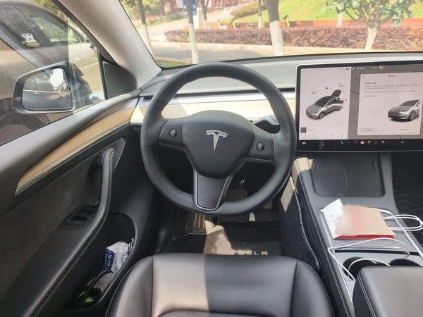 Tesla Model Y 2021, 128400 км, за 19479 USD - фото 9