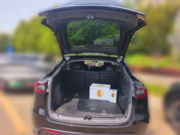 Tesla Model Y 2021, 128400 км, за 19479 USD - фото 16