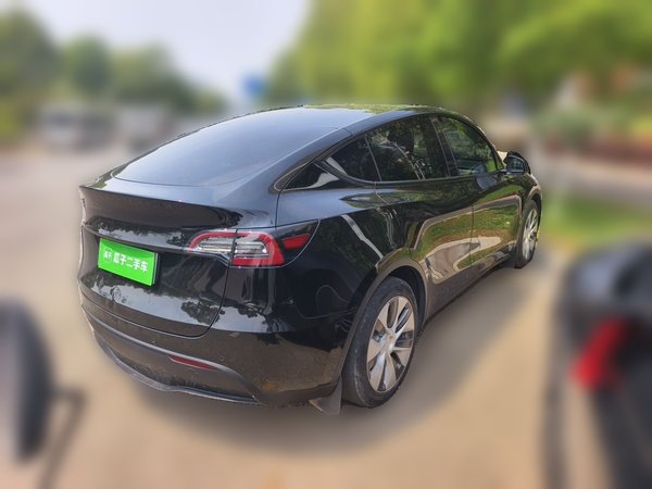 Tesla Model Y 2021, 128400 км, за 19479 USD - фото 6