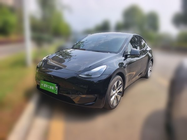 Tesla Model Y · 2021 год