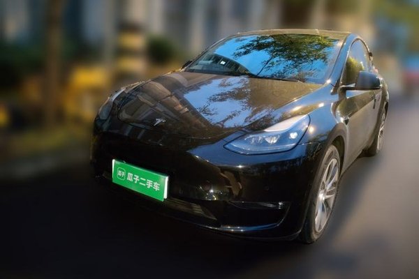 Tesla Model Y · 2021 год