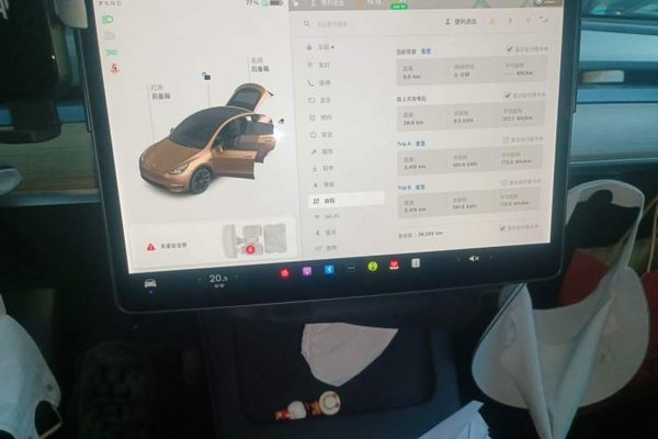 Tesla Model Y 2021, 36200 км, за 23484 USD - фото 13