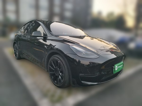 Tesla Model Y 2021, 45600 км, за 23525 USD