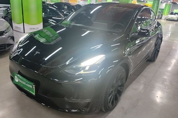 Tesla Model Y · 2021 год