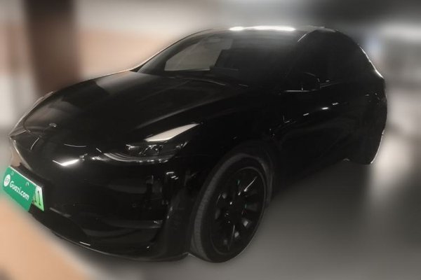 Tesla Model Y · 2021 год