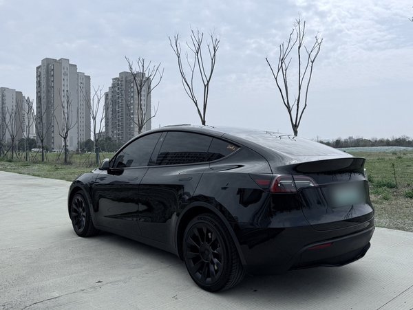 Tesla Model Y 2021, 95100 км, за 22351 USD - фото 12