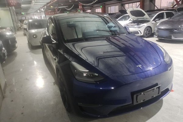 Tesla Model Y 2021, 78100 км, за 24179 USD - фото 12