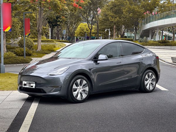 Tesla Model Y · 2021 год