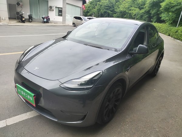 Tesla Model Y · 2021 год