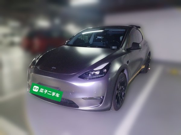 Tesla Model Y · 2021 год