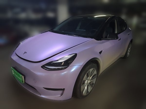 Tesla Model Y · 2021 год