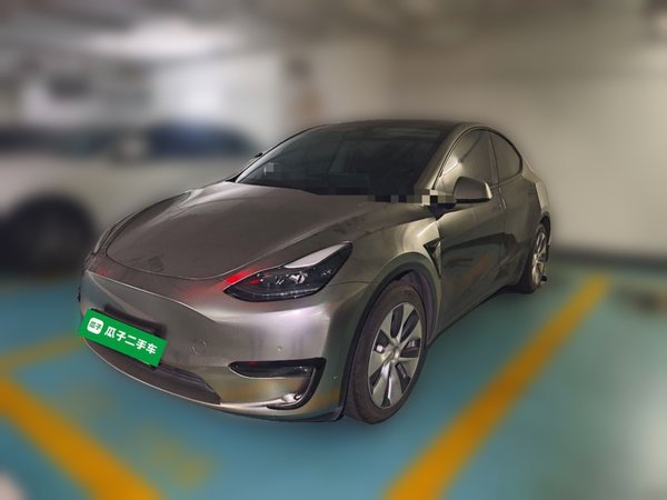 Tesla Model Y · 2021 год