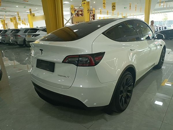 Tesla Model Y 2023, 79600 км, за 30994 USD - фото 6
