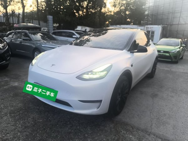 Tesla Model Y · 2021 год