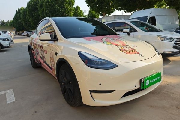 Tesla Model Y 2021, 98300 км, за 22191 USD