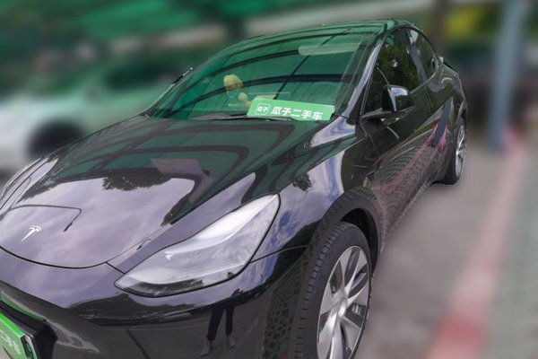 Tesla Model Y · 2022 год