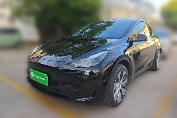 Tesla Model Y · 2022 год