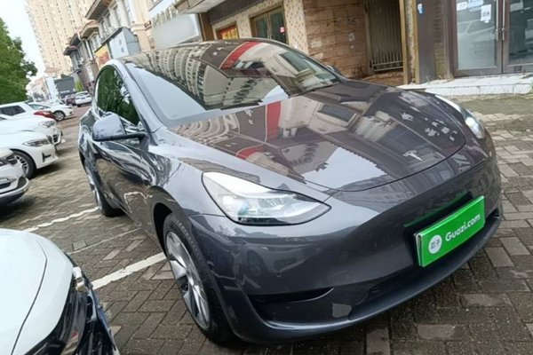 Tesla Model Y 2022, за 26069 USD