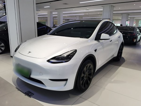 Tesla Model Y · 2022 год