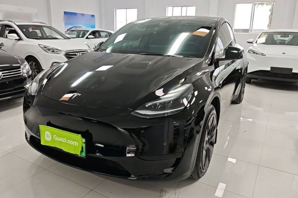 Tesla Model Y · 2023 год