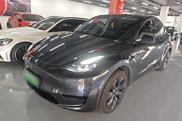 Tesla Model Y · 2023 год