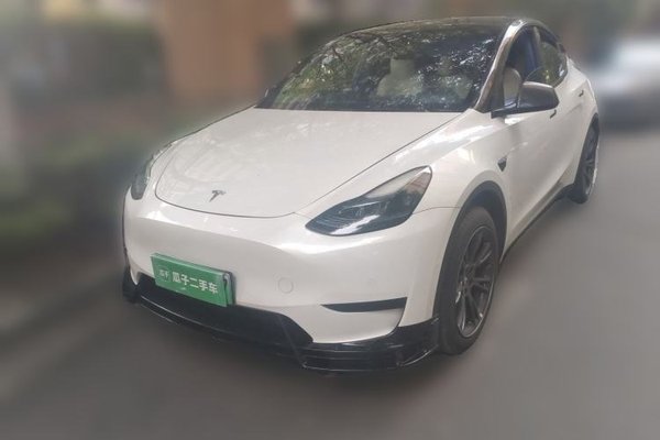 Tesla Model Y · 2023 год