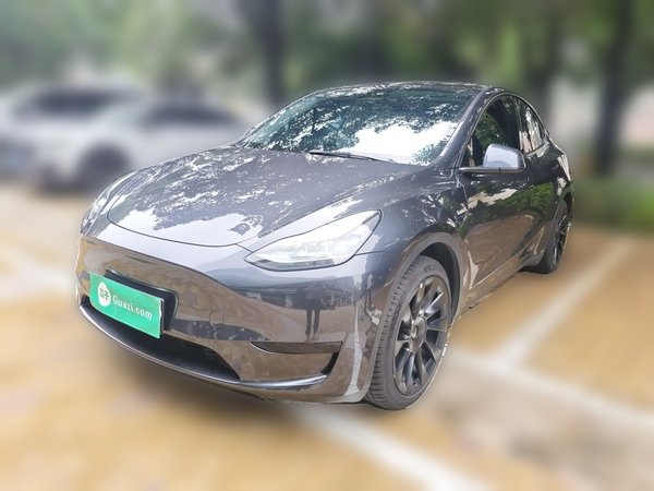 Tesla Model Y · 2024 год
