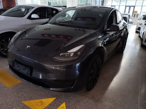 Tesla Model Y · 2024 год