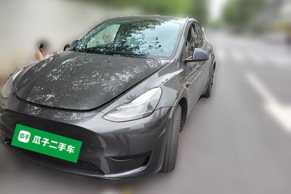 Tesla Model Y · 2024 год