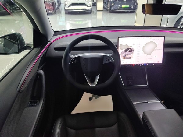 Tesla Model Y 2025, 8000 км, за 42025 USD - фото 14