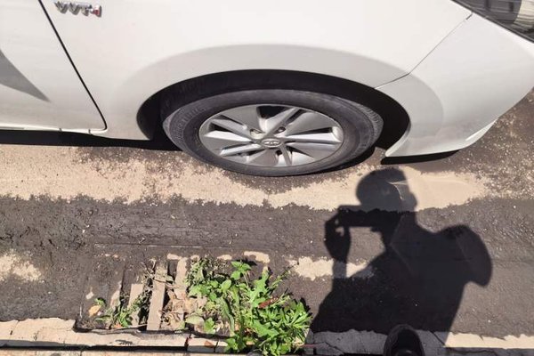 Toyota Corolla 2014, 79600 км, за 5552 USD - фото 8