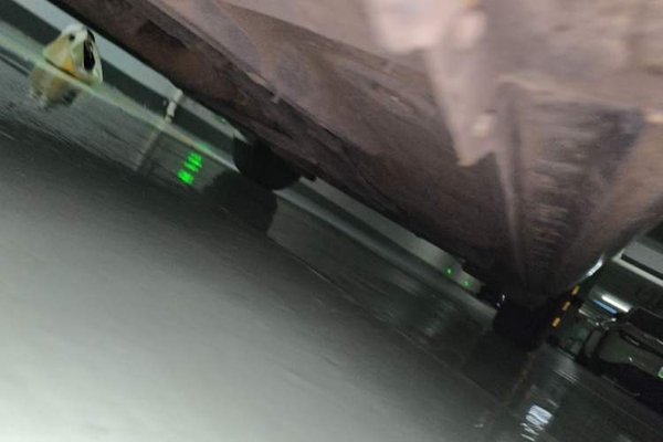 Toyota Levin 2017, 106600 км, за 6148 USD - фото 26