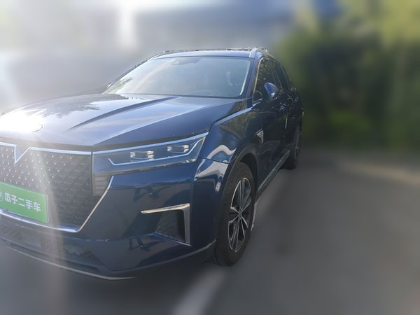 Venucia Star · 2020 год