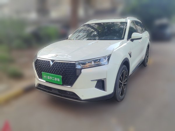 Venucia Star · 2020 год