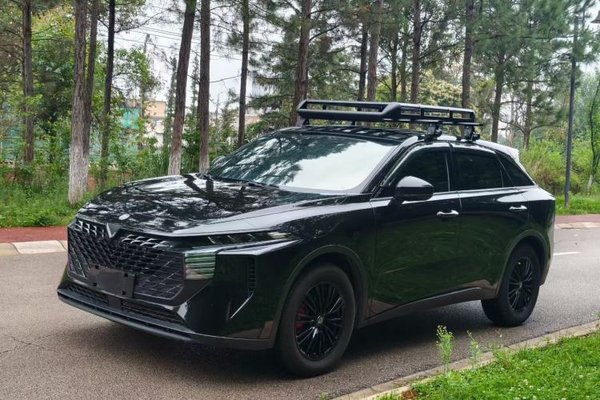 Venucia V · 2022 год