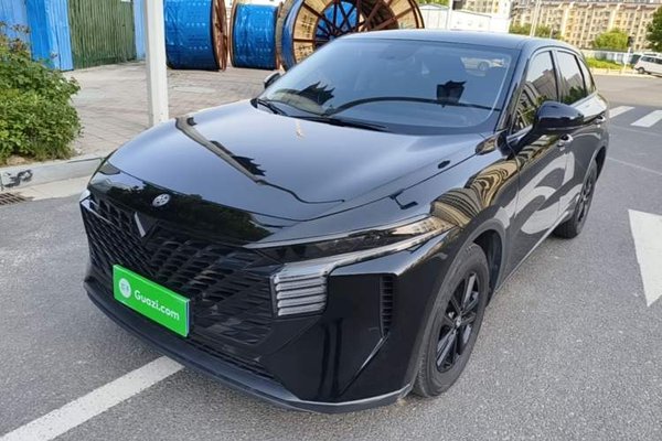 Venucia V · 2024 год