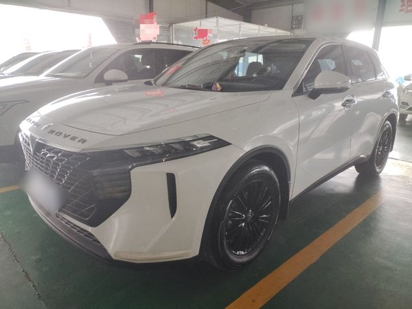 Venucia V 2024 260T Idol Joy Ride Pro Edition