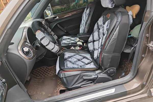 Volkswagen Beetle 2014, 68800 км, за 10158 USD - фото 14