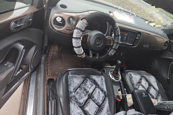 Volkswagen Beetle 2014, 68800 км, за 10158 USD - фото 9