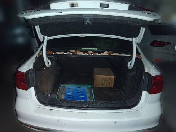 Volkswagen Bora 2018, 175000 км, за 9999999 USD - фото 12