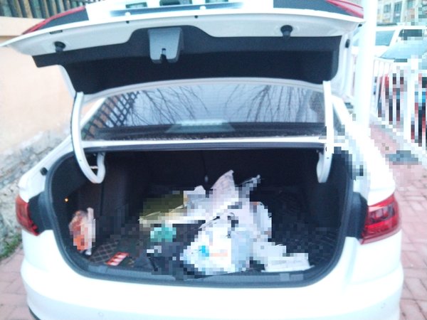 Volkswagen Bora 2025, 2400 км, за 13219 USD - фото 17