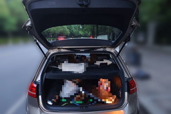 Volkswagen Golf 2015, 69900 км, за 7274 USD - фото 20