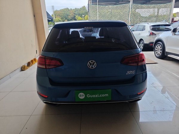 Volkswagen Golf · 2018 год